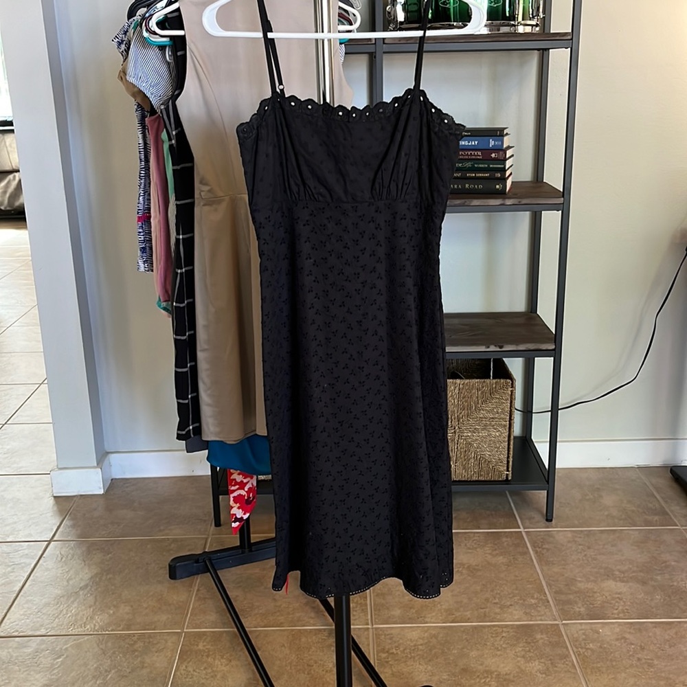 The Limited 100% cotton eyelet dress